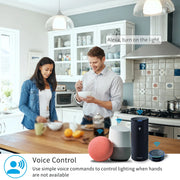 Tuya Two-Gang Smart Relay