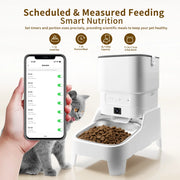 Elevated Camera Pet Feeder