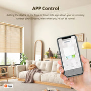 WiFi Electric Blind Motor