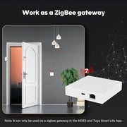 Matter Zigbee Smart Gateway