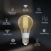 MOES Dimmable Filament Smart Bulb