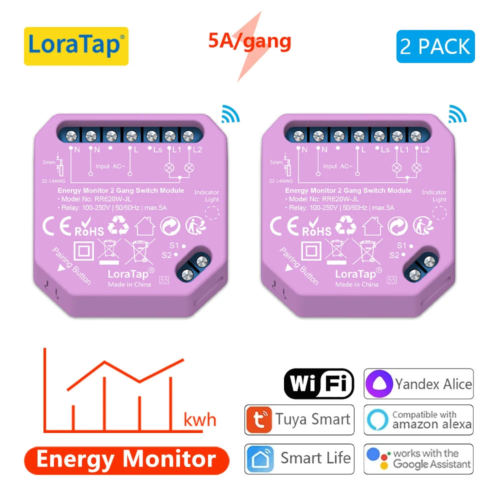 Tuya Smart Life Wifi Switch 2 Gang Relay Breaker Module Google Home Alexa Echo Voice Control Smart Lighting Timer Switch DIY