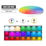 RGBCW Smart Ceiling Light