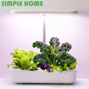 Indoor Smart Hydroponic Garden