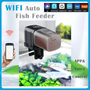 WiFi Automatic Fish Feeder