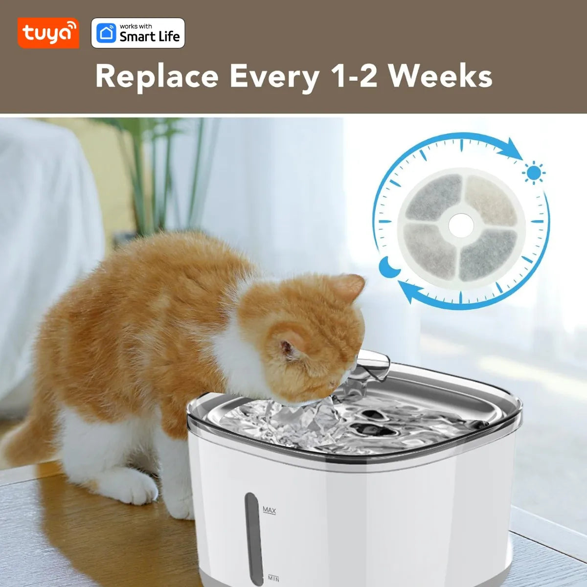 Smart App Cat Fountain