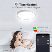 RGBCW Smart Ceiling Light