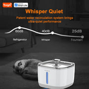 Smart App Cat Fountain