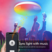 RGBCW Smart Ceiling Light