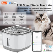 Smart App Cat Fountain