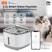 Smart App Cat Fountain