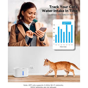 Sensor Smart Cat Fountain