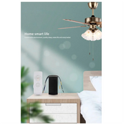 Smart Ceiling Fan Controller Kit