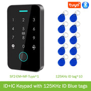 Tuya Dual RFID Access Keypad
