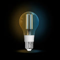 MOES WiFi Smart Filament Bulb LED Light Lamp E27 Dimmable Lighting 2700K-6500K 806Lm Tuya Alexa Google Voice Control 90-250V 7W