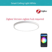 RGBCW Smart Ceiling Light