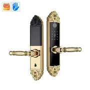 Tuya TTLock Fingerprint Door Lock