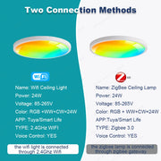 RGBCW Smart Ceiling Light