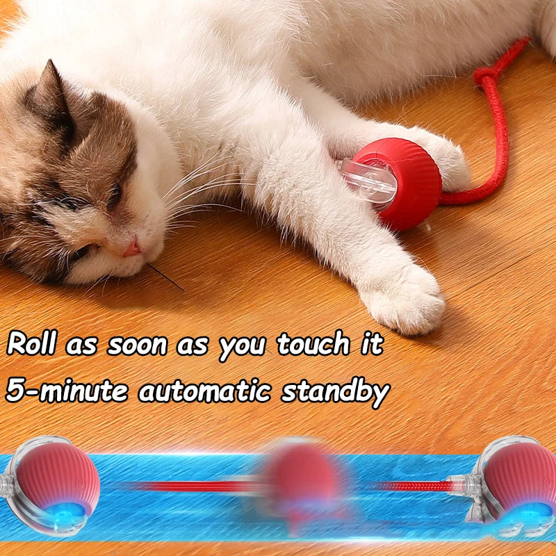 Rechargeable Rolling Cat Ball